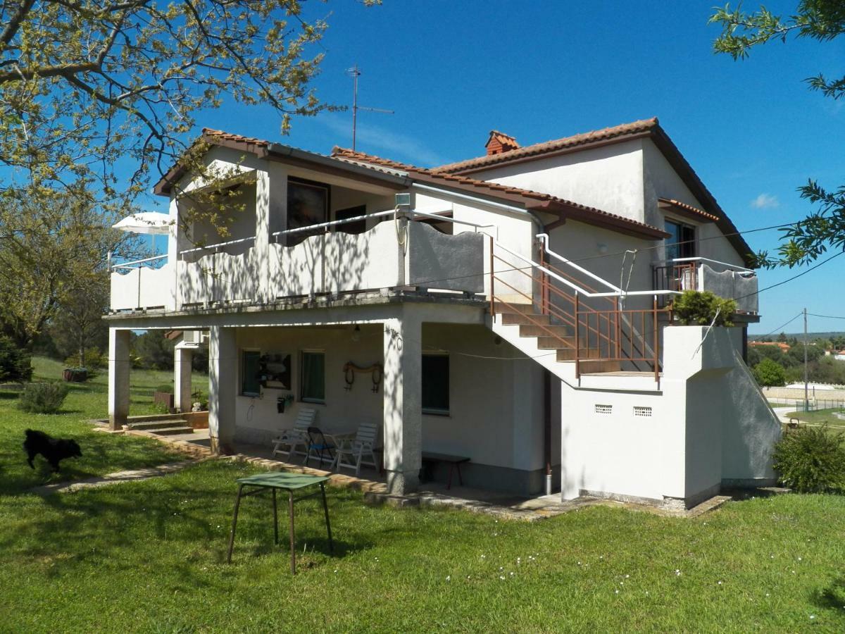 Apartment Celega